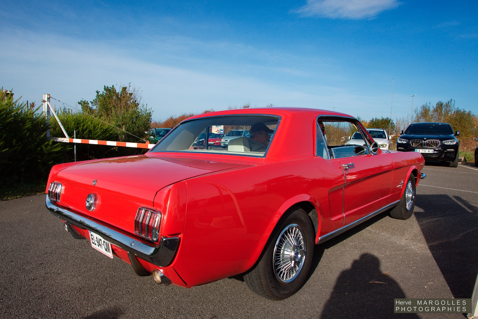 Ford Mustang.jpg